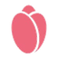 FancyTulip Logo